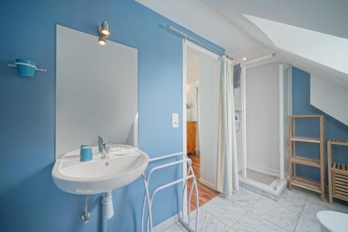 a bathroom with a sink and a blue wall at Gîte du Jardin in Theux