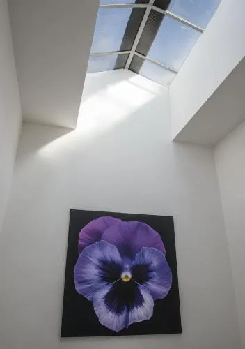 Le Stanze dei Fiori photo 19