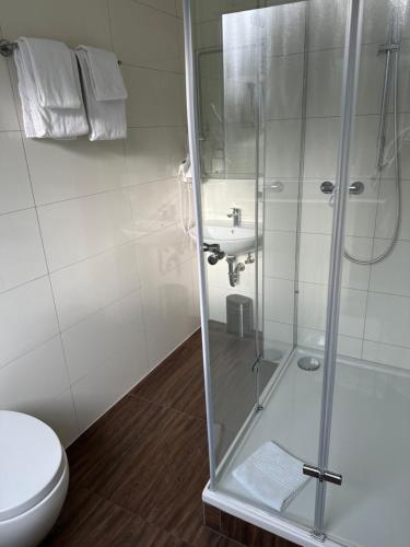ein Bad mit einer Dusche, einem WC und einem Waschbecken in der Unterkunft Hotel Restaurant Mirena in Marl