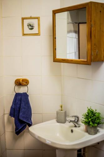 a bathroom with a sink and a mirror at Buffalo Hills Private Game Reserve in Harrismith
