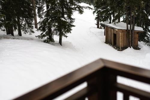 a snow covered yard with a woodenshed in the woods at Hôtel La Sivolière in Courchevel