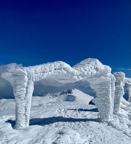 an ice sculpture on top of a snow covered mountain at Nina Liptov in Liptovský Ján