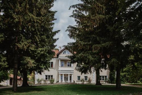a large white house with trees in the foreground at Dwór w Odonowie in Odonów