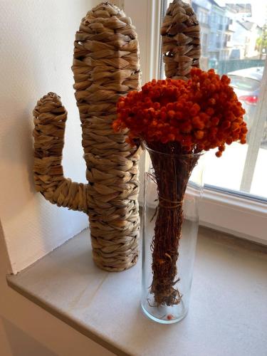 deux vases avec des fleurs assis sur un rebord de fenêtre dans l'établissement Sangnier 17 Merville, à Lorient