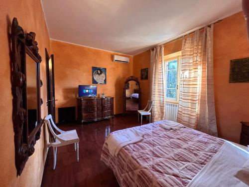 een slaapkamer met een bed, een tv en een raam bij L'antico Granaio in Paliano
