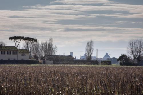 a field of corn with buildings in the background at Podere Magnolia in Pisa