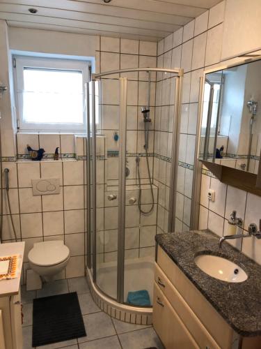 een badkamer met een douche, een toilet en een wastafel bij Ferienwohnung Roth in Memmingen