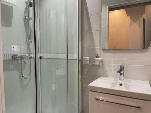 een badkamer met een douche en een wastafel bij 4 Room Penthouse Terrace W18+W19 in Boekarest