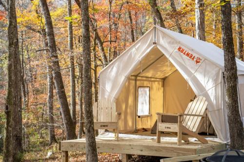 Tentrr State Park Site - Mississippi JP Coleman State Park - Shady Bluff A - Single Camp
