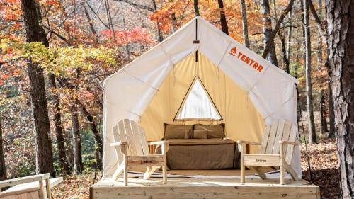 Tentrr State Park Site - Mississippi JP Coleman State Park - Shady Bluff B - Single Camp