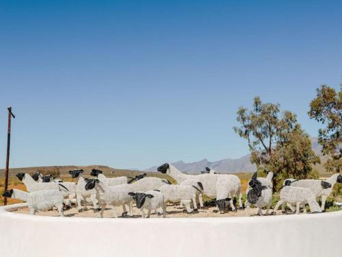 a herd of sheep standing on the side of a road at AfriCamps at Karoo 1 in De Doorns