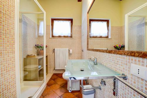 馬內爾巴德爾加爾達的住宿－Gardaliva - Home & Garden by Garda FeWo，一间带水槽和镜子的浴室