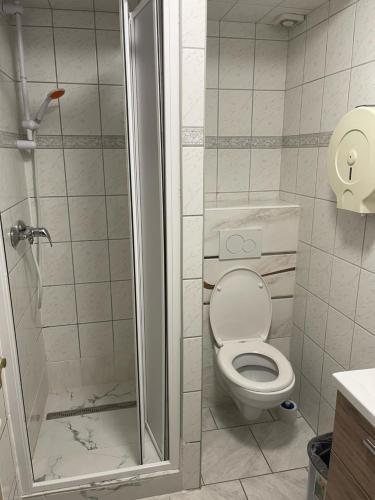 a bathroom with a toilet and a shower at Hotel V Pivovaře Davle in Davle