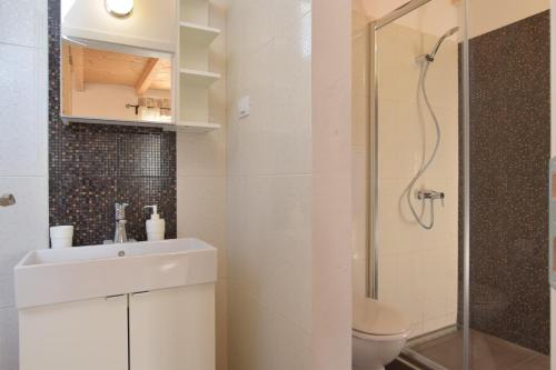 Un baño con inodoro, lavabo y ducha. en Cozy istrian stone villa Sasso with private pool, en Petehi