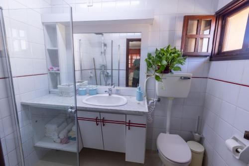 uma casa de banho com um WC, um lavatório e um espelho. em אירוח בעמק המעיינות מול הגילעד em Bete-Seã