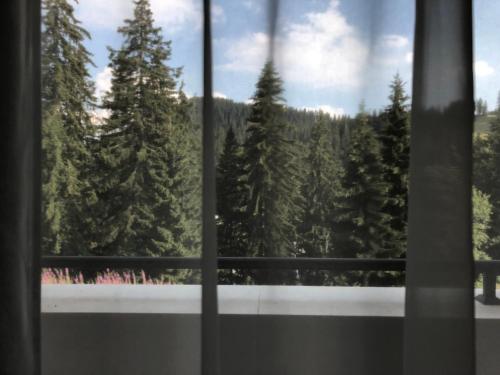 a window with a view of a forest of trees at Luxury Apartments Studenets in Pamporovo