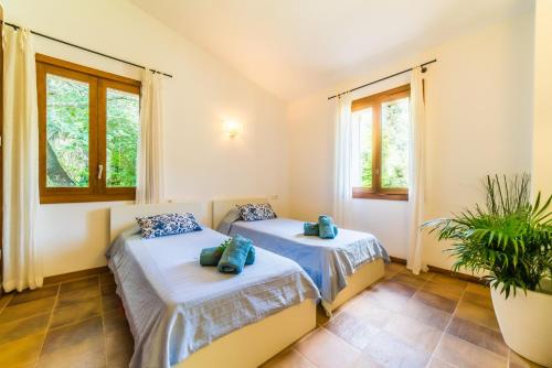 カンパネにあるIdeal Property Mallorca - Sa Velaのベッド2台 窓&鉢植えの植物が備わる部屋