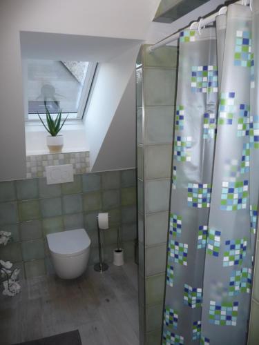 a bathroom with a shower with a toilet and a window at Penzion Kozák in Český Krumlov