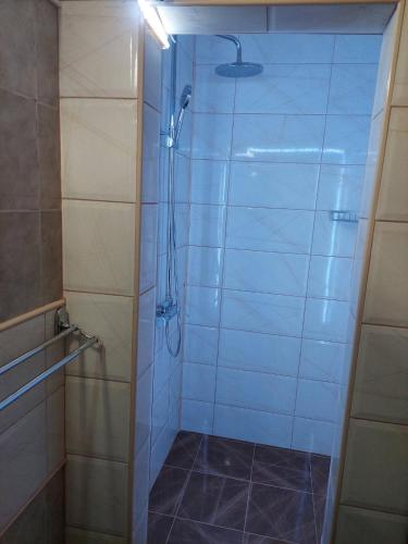 eine Dusche mit Glastür im Bad in der Unterkunft Comfort in Pirot