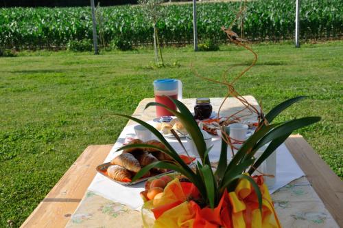 a picnic table with a plate of food on it at Agriturismo ai Ciliegi in Bardolino