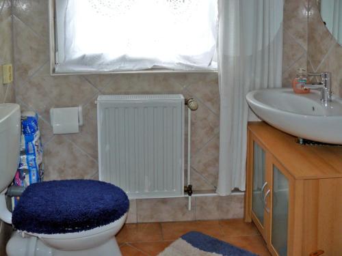 Ένα μπάνιο στο Apartment Sylvia