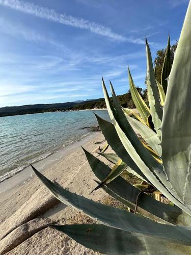 Paesaggio naturale nelle vicinanze della casa vacanze
