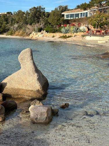 Paesaggio naturale nelle vicinanze della casa vacanze