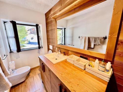 a bathroom with a sink and a mirror at Chalet le Pigne Gressoney Saint Jean in Gressoney-Saint-Jean