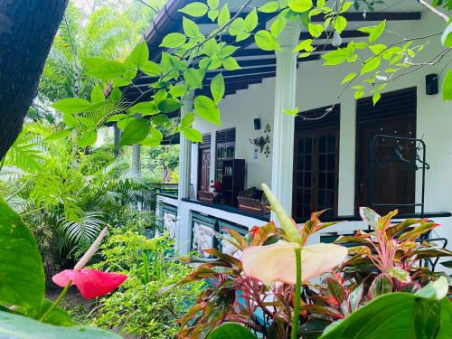 una casa con un mucchio di piante davanti di Sigiri Saman Home Stay a Sigiriya