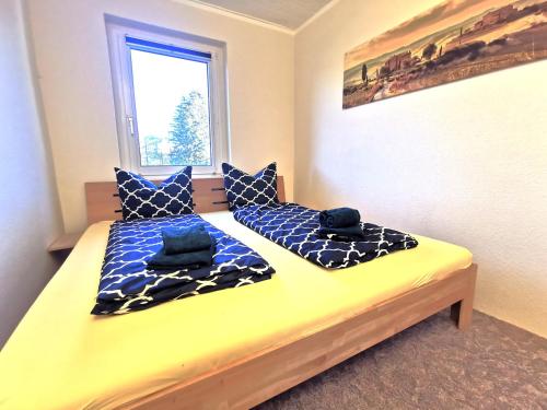 Un dormitorio con una cama con almohadas azules y una ventana en Ferienwohnung "Rosental" en Stützengrün