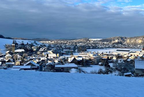 a small town covered in snow with buildings at Apartment im Emmental in Oberburg