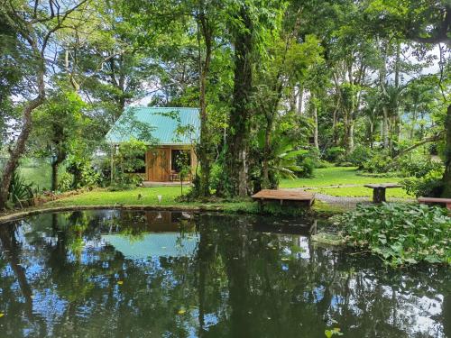 a house in the middle of a pond in a park at Greenhouse Lofts Miravalles in Aguas Claras