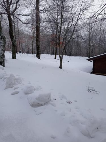 Villaggio Anemone - Chalet Mirtillo en invierno