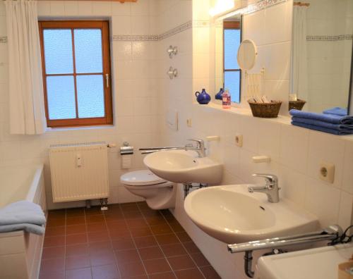 a bathroom with a sink and a toilet and a mirror at Ferienwohnung Am Anger in Samerberg