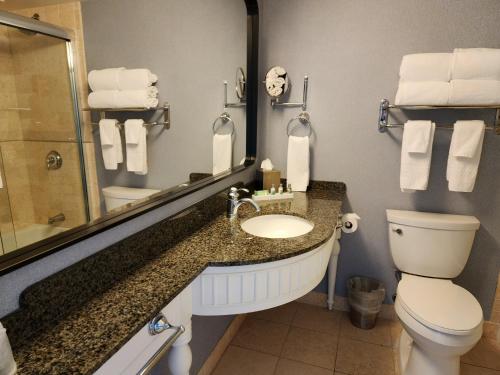 a bathroom with a sink and a toilet and a mirror at The Abbey Resort in Lake Geneva