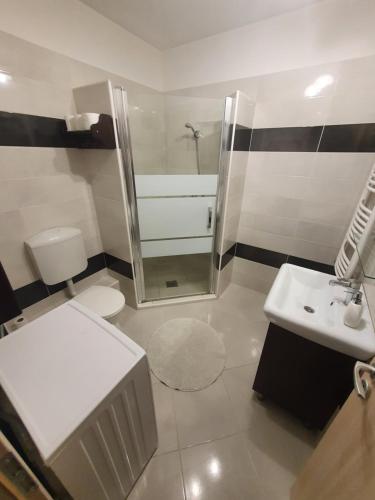 a bathroom with a shower and a toilet and a sink at Krisi apartman in Hajdúszoboszló