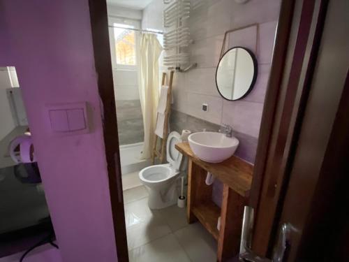 bagno con servizi igienici, lavandino e specchio di Agroturystyka Siedlisko 