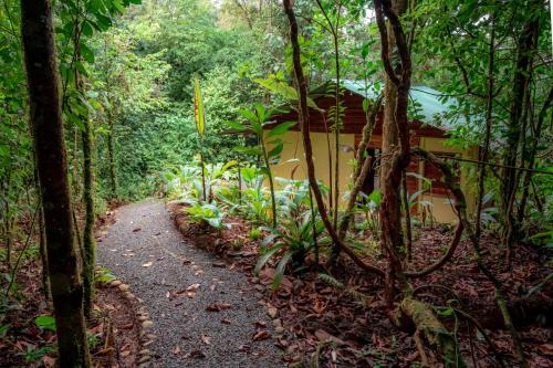 a path through the forest with a house in the background at La Tigra Rainforest Lodge in Fortuna