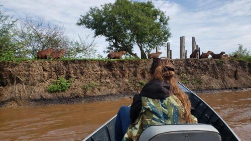 una persona en un barco mirando animales en un río en Spot Jaguar Pantanal South- Camping Wild Jaguar Tour, en Corumbá