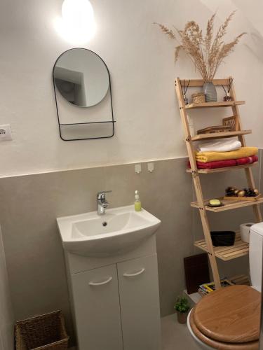 a bathroom with a sink and a mirror and a toilet at STUDIO ELA Centre in Košice