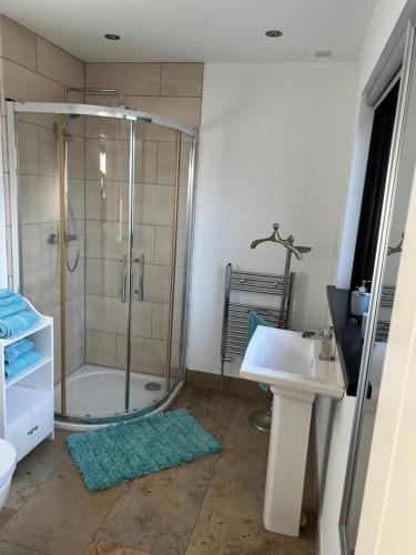 a bathroom with a shower and a sink at Green Monkey Lodge in British