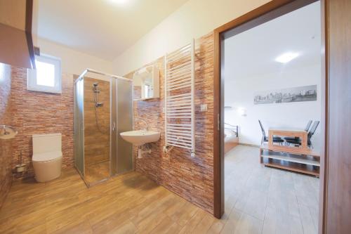 a bathroom with a shower and a toilet and a sink at Apartmány DoLosin in Velké Losiny