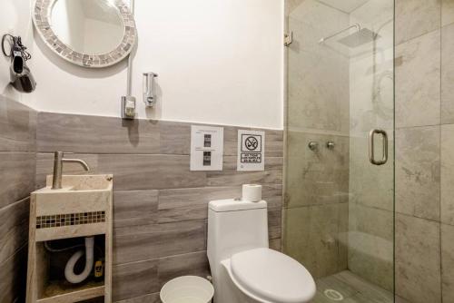 y baño con aseo, ducha y espejo. en Estudios Rio Lerma, en Ciudad de México