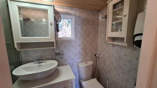 a small bathroom with a sink and a toilet at Villa Vrachos - uriges Steinhaus - in Vráchos