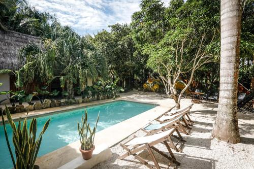una piscina con due sedie a sdraio e alberi di Totem Buenavista a Bacalar