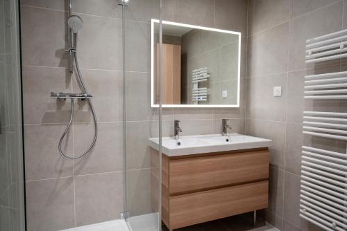 uma casa de banho com um chuveiro, um lavatório e um espelho. em T2 de standing, hôpitaux Montchat em Bron