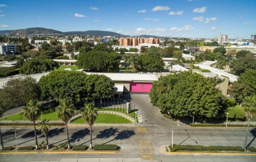 an aerial view of a park with palm trees at Camino Real Guadalajara in Guadalajara