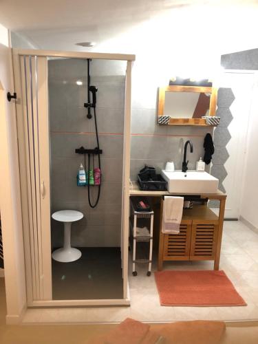 łazienka z prysznicem i umywalką w obiekcie Chambre studio de saint-Louis w mieście Courson