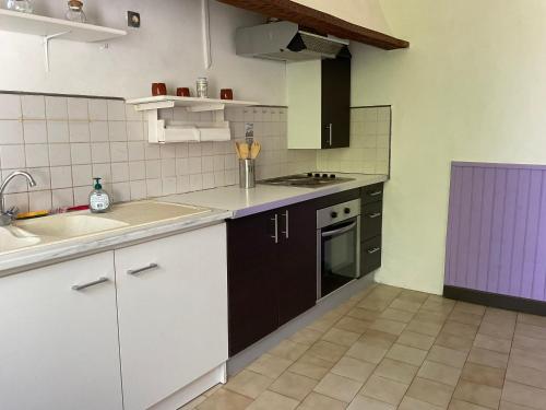 a kitchen with a sink and a stove top oven at Chambres, Table d'Hôtes et Gites Les Mesanges in Saint-Jean-de-Sauves