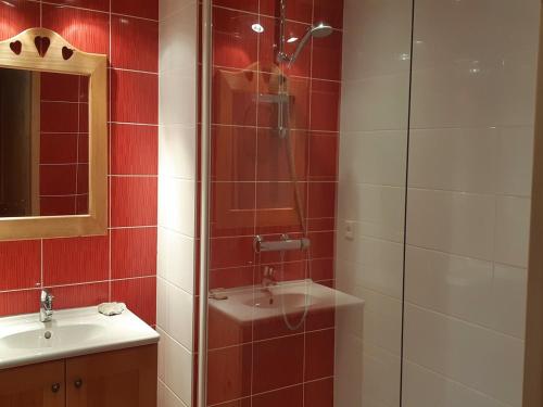 a bathroom with a shower and a sink at Appartement Saint-Jean-de-Sixt, 2 pièces, 5 personnes - FR-1-459-113 in Saint-Jean-de-Sixt